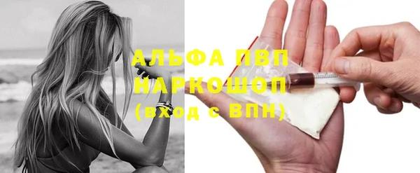 сатива Покров