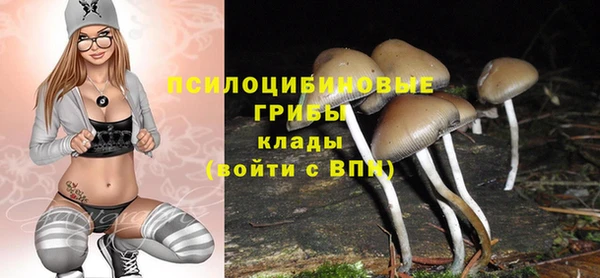 шишки Алексеевка